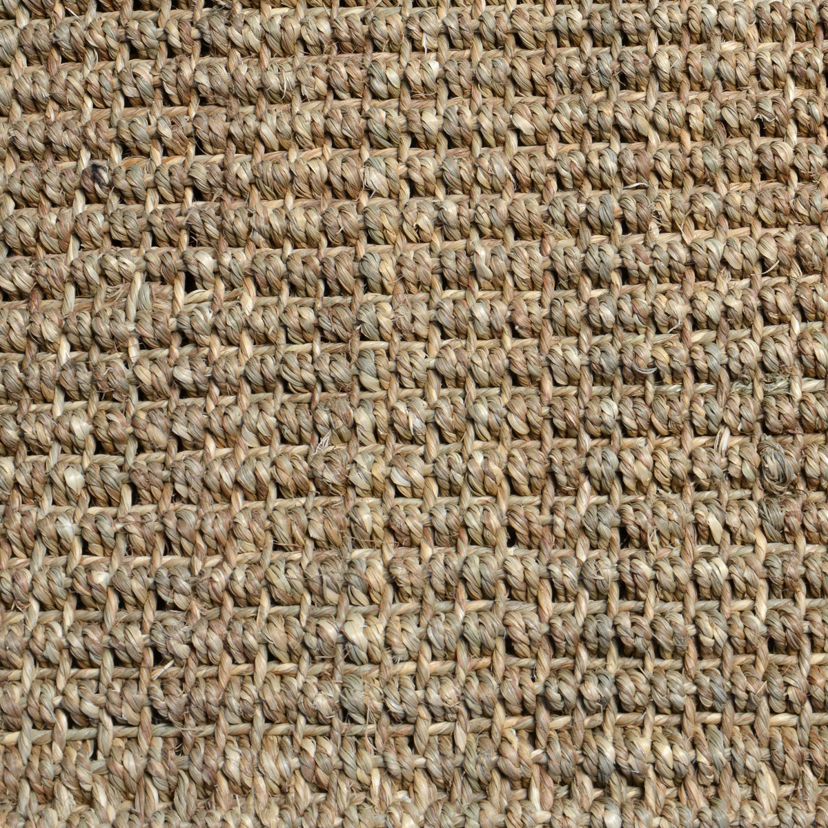 30065107