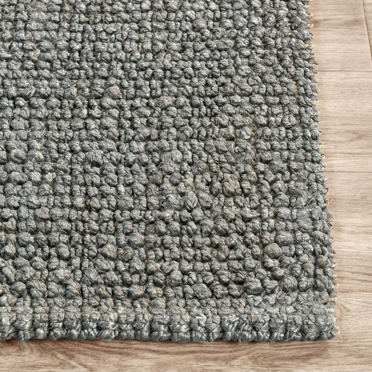 30091066