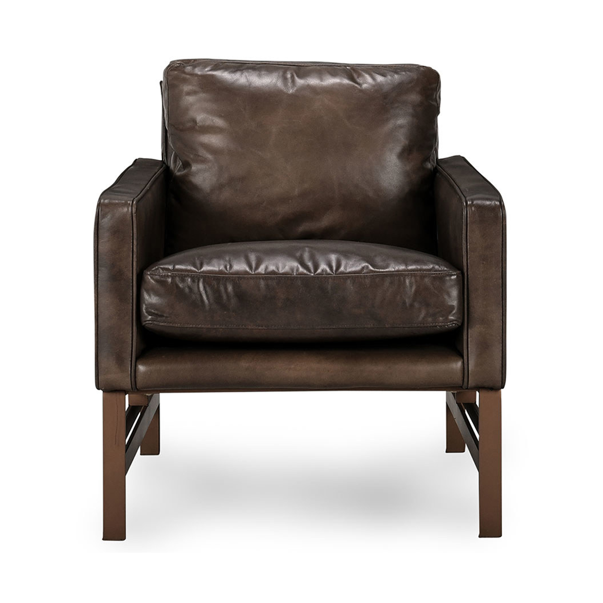 53004860