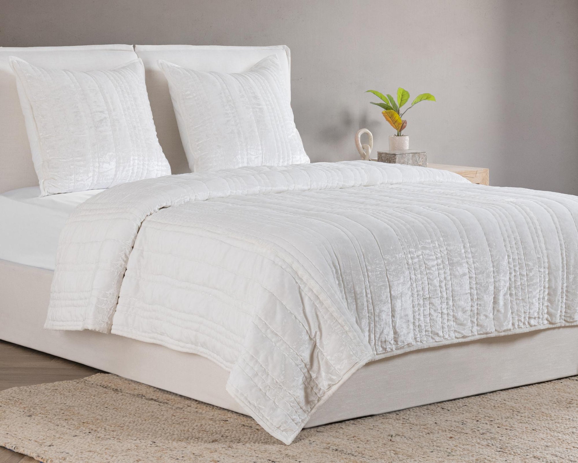 V310096