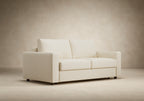 Neah Queen Size Sleeper Sofa with Standard Arms 365