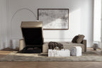 Newilla Sleeper Sofa with Standard Arms 257
