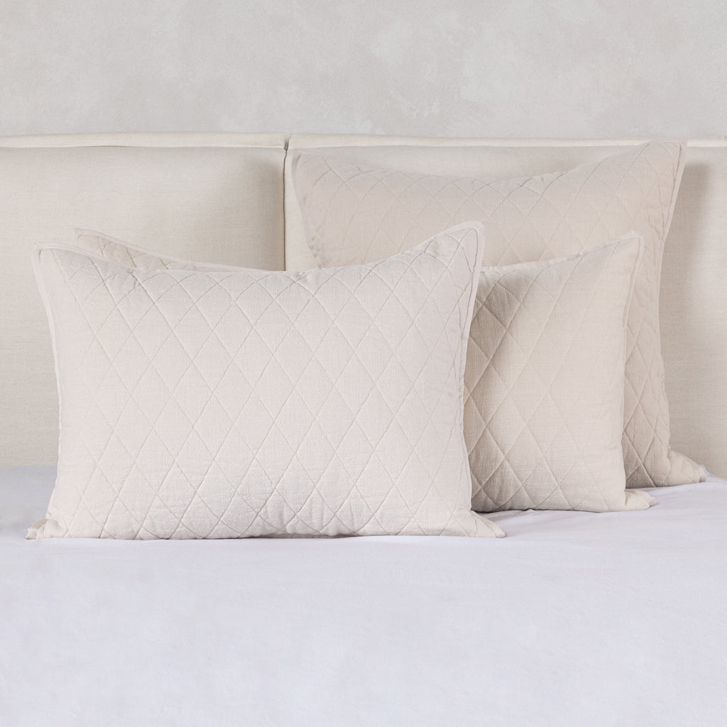 V220029