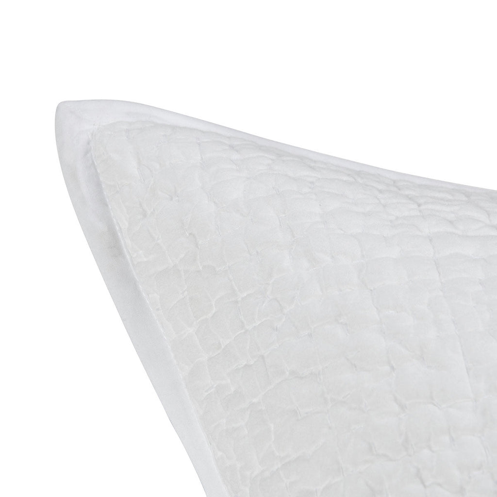 BEDQ508K