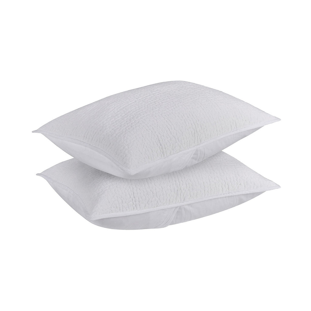 BEDQ508Q