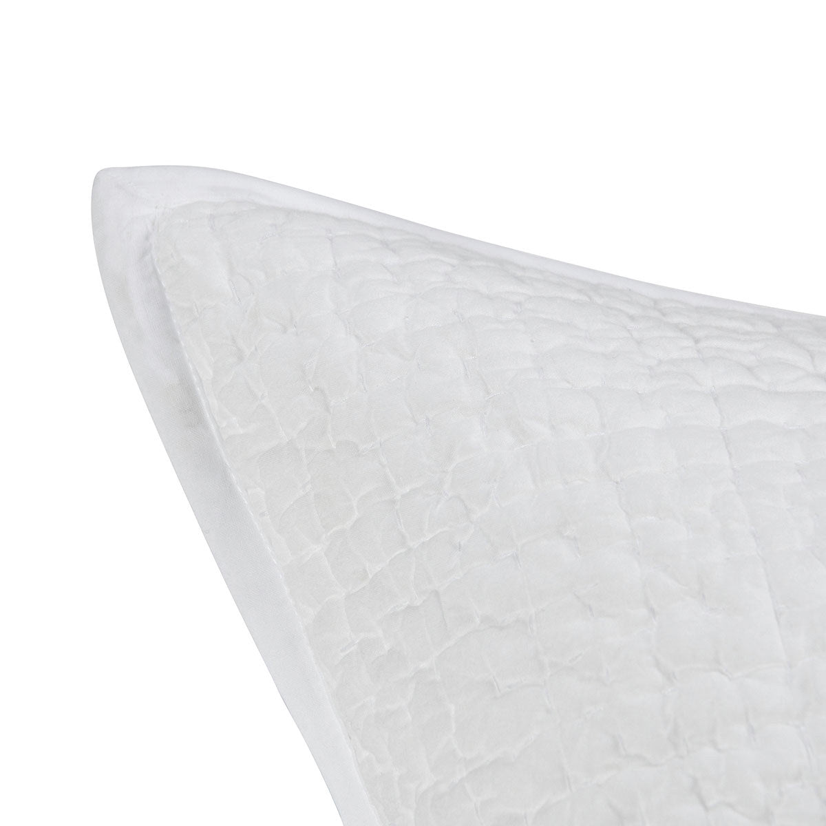 BEDQ508Q