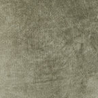 V240086