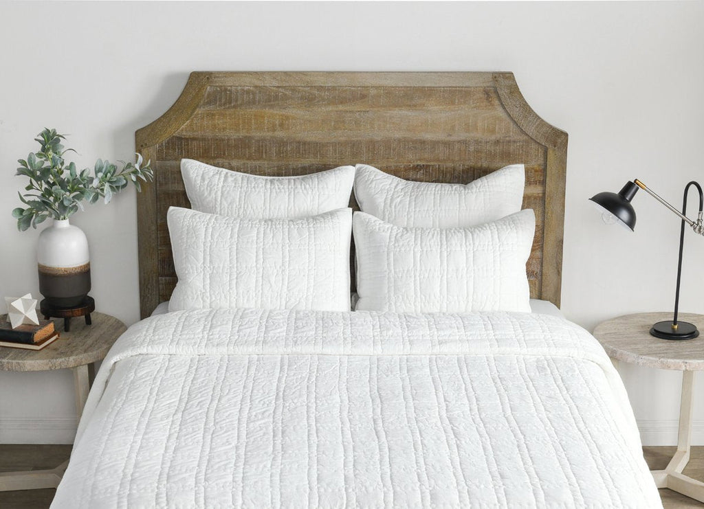 V240005