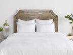 BEDD338Q