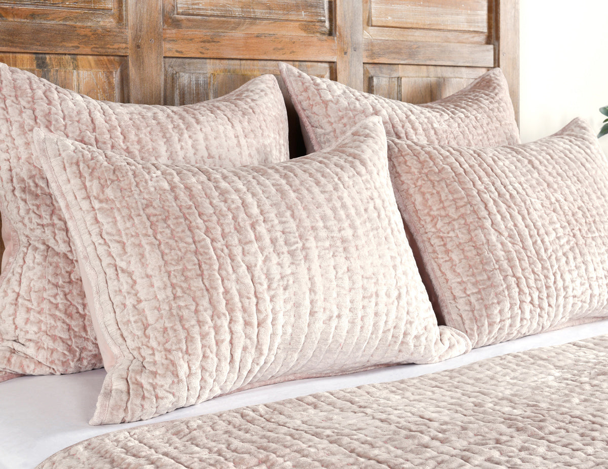 BEDQ520Q