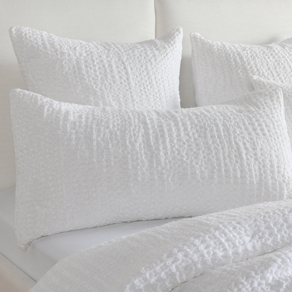 V250159