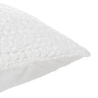V250160