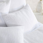BEDD347K