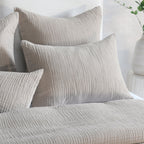 BEDD349Q