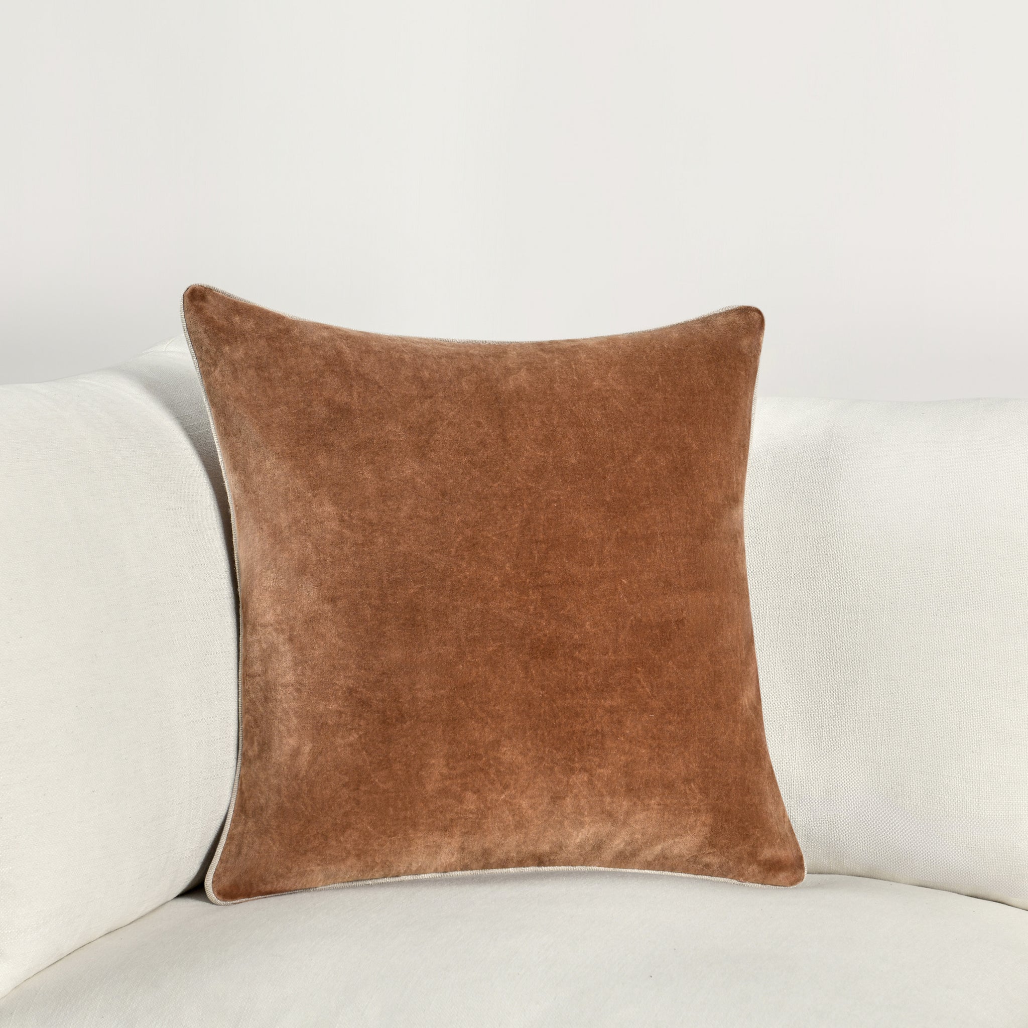 V290196