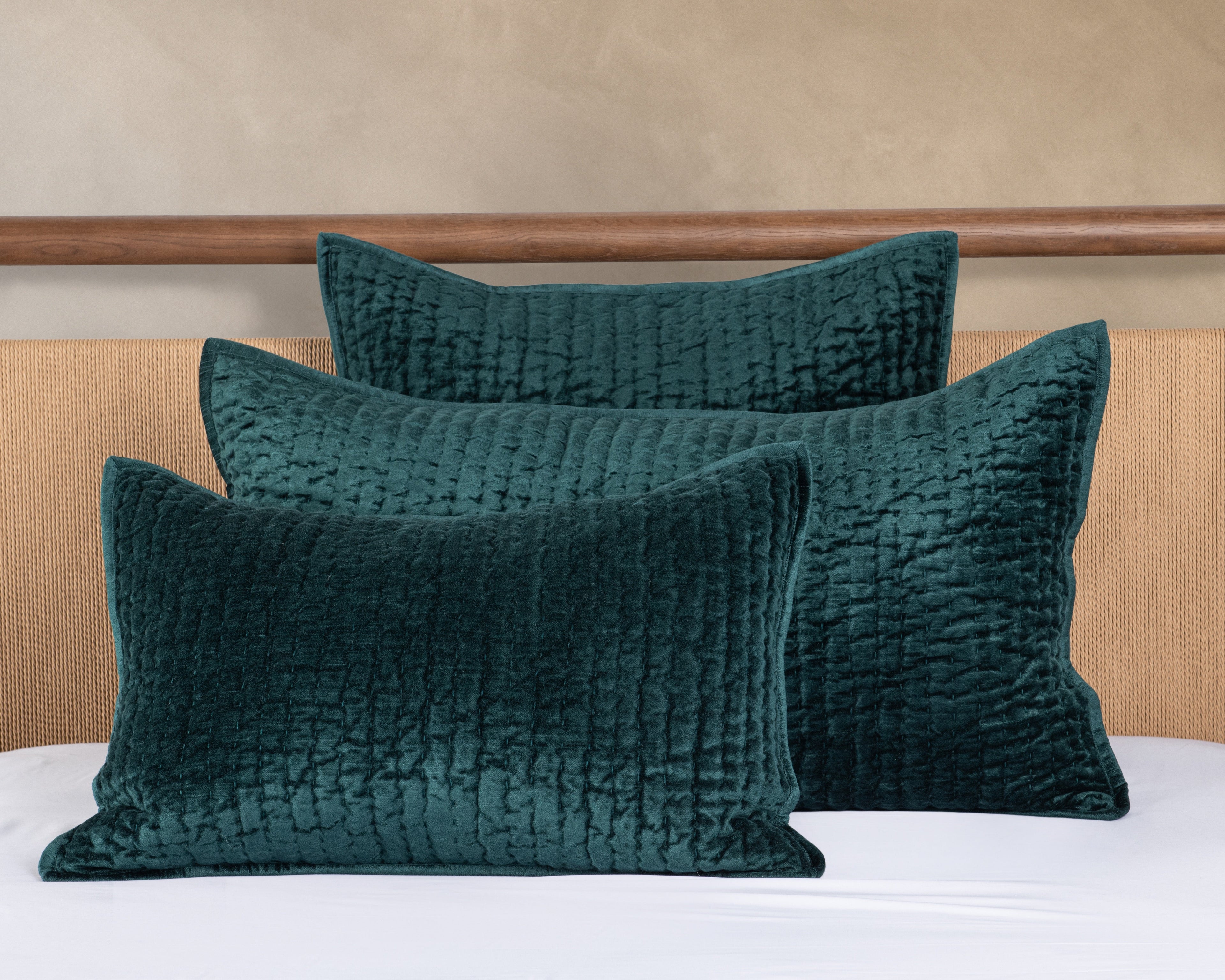 V310003