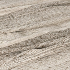 V310005