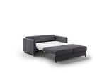 FANT-CLV-RENE/04-217/6-CR